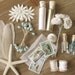 Super Deluxe Seashore Craft Box - Limited Edition