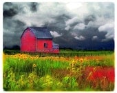 The red barn , 8x10, Original, Landscape, Fine Art photograph, Country home decor, storm clouds, Sunflowers, nature photography
