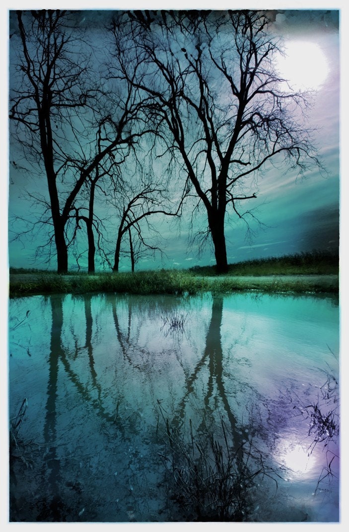 Night sky,11x17, Original Signed Fine art photograph, Limited edition, Nature wall decor, art, blue home decor, trees, reflections