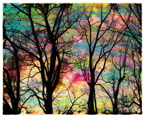 Cotton candy sunrise, 8x10, Signed, Original, Fine Art photography, Nature home decor, landscape, wall decor, trees, sunrise