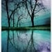 Night sky,11x17, Original Signed Fine art photograph, Limited edition, Nature wall decor, art, blue home decor, trees, reflections