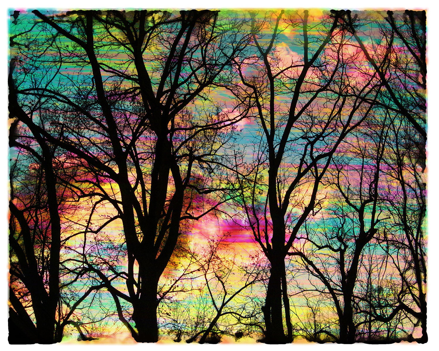 Cotton candy sunrise, 8x10, Signed, Original, Fine Art photography, Nature home decor, landscape, wall decor, trees, sunrise