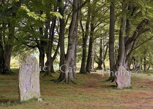 Scotland Photography Dorm Decor Landscape Photo Fine Art Standing Stones 5 x 7 Photo - Celticcatphotos