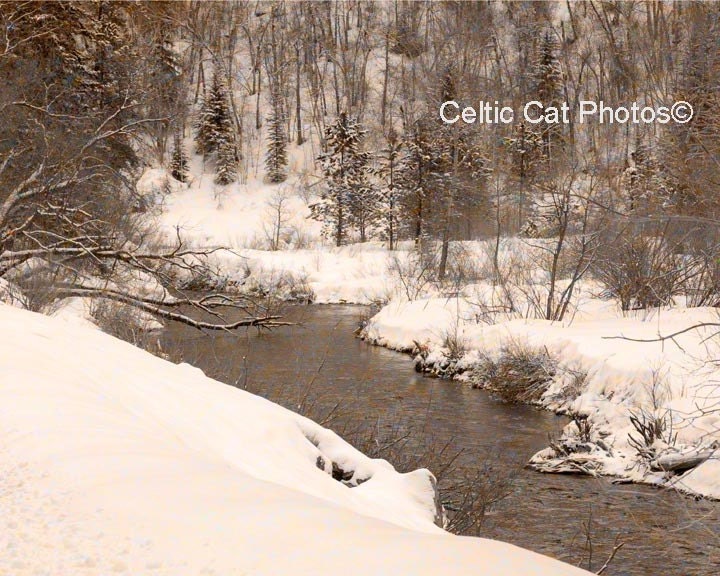 Winter Nature Photography Sepia Style Spearfish Canyon RIver South Dakota Winter Dreams of 8 x 10 Textured Sepia Photograph Art