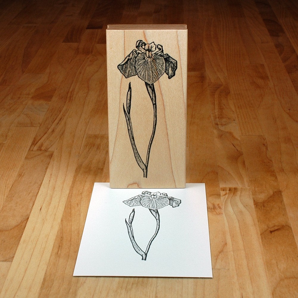 wild iris - mounted rubber stamp