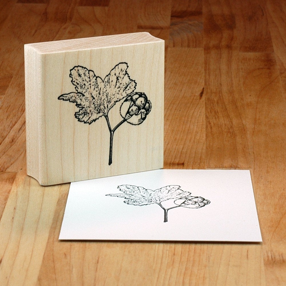 cloudberry plant - mounted rubber stamp