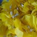 Tie a Yellow Ribbon swag garland with Mini Lights indoor or outdoor