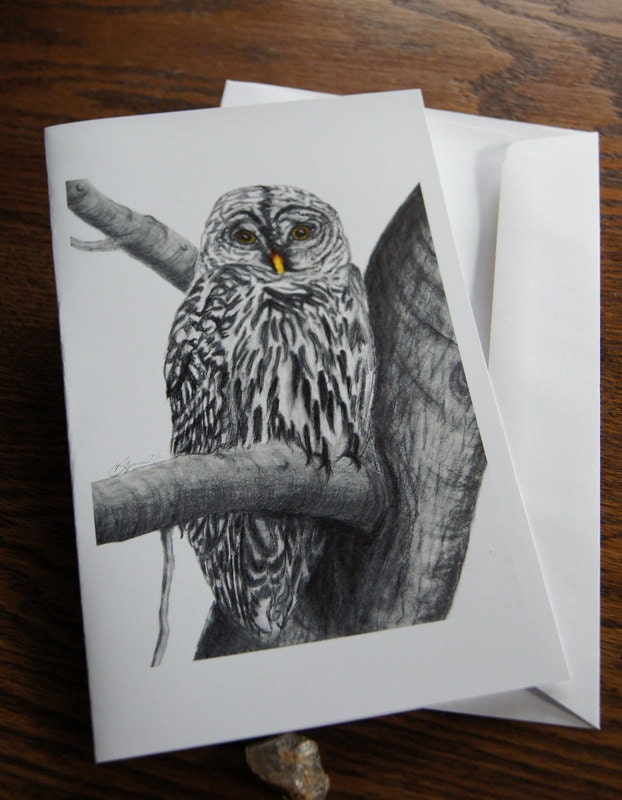 Bessie Barred Owl Greeting Card