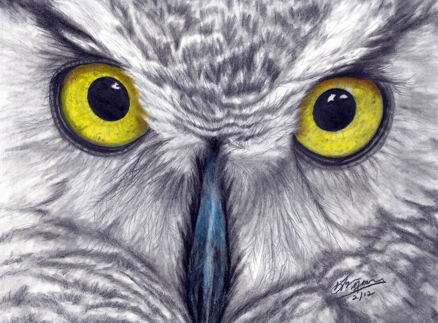 Wise Eyes