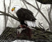 Lunch with a Bald Eagle