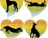 Greyhound Love Note Cards Whippet Galgo Dog Series II