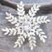 Star frond hairclip