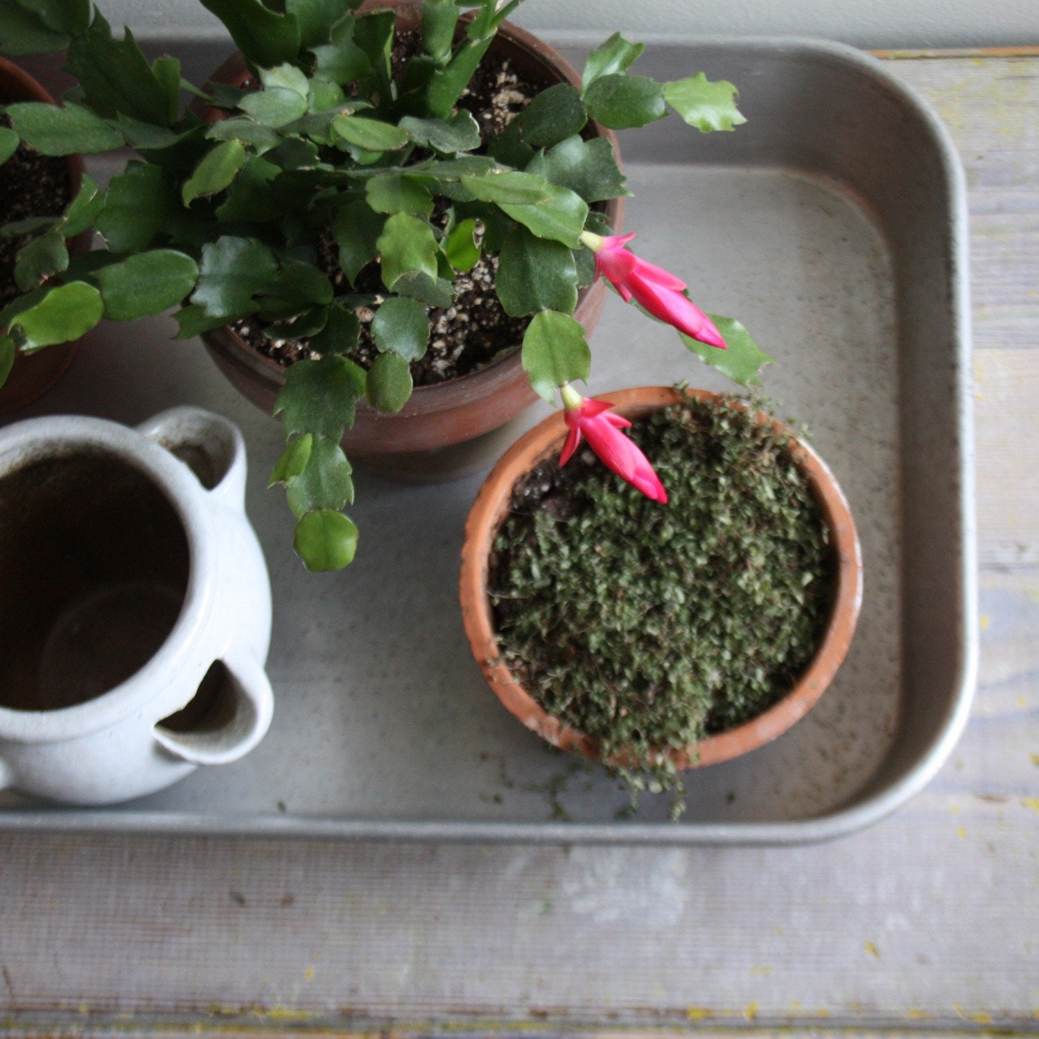 Vintage Industrial Metal Tray