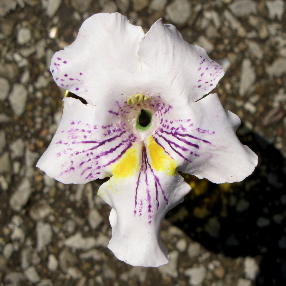 HUMMINGBIRD FEEDER--Catalpa Flower on Larger Bottle