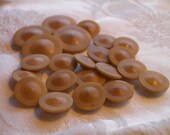 ANTIQUE BUTTONS  22 -  Vegetable Ivory -  Matching