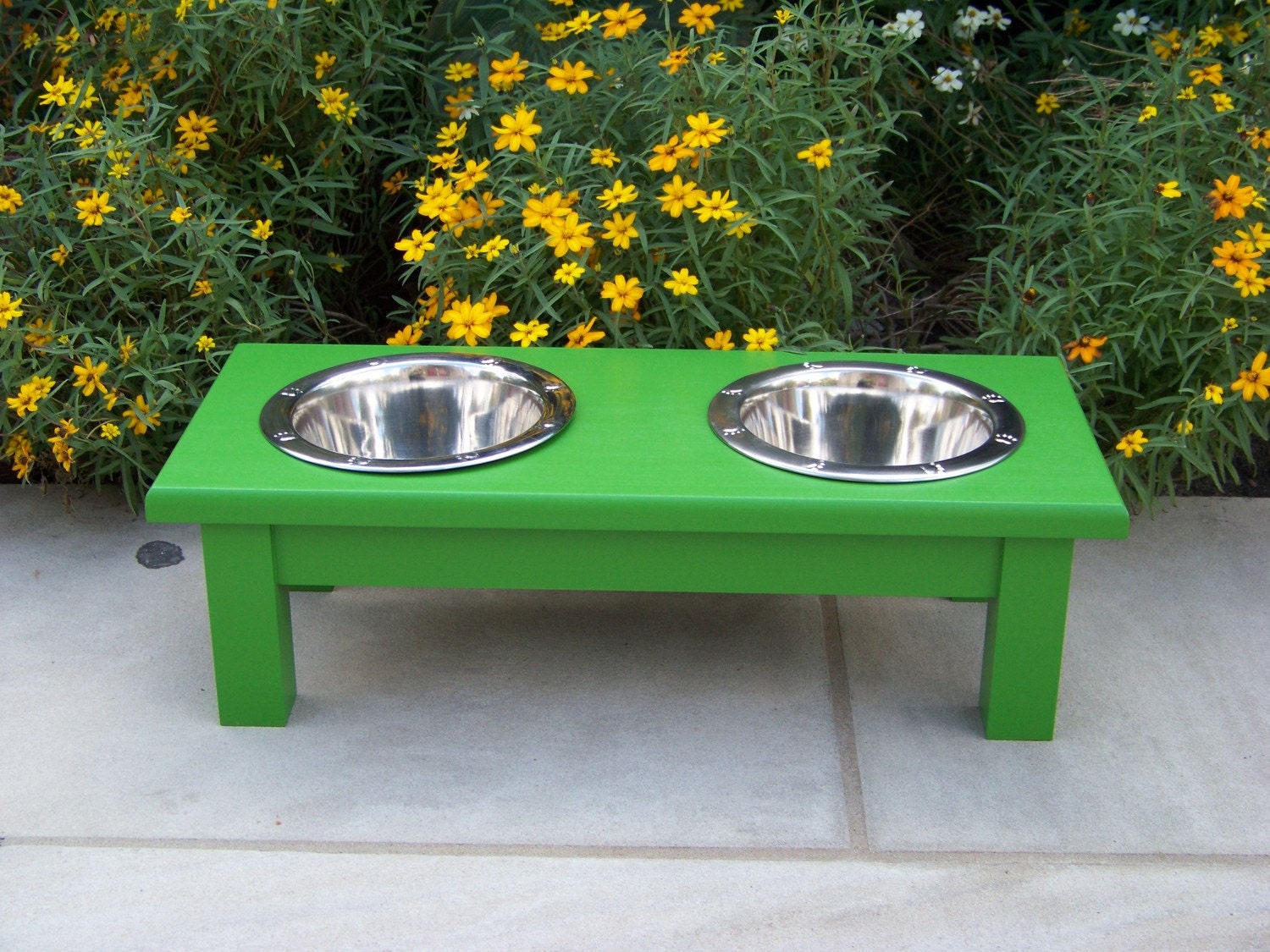 Custom Painted Elevated Dog Bowl Feeder 6" Tall with 1-Quart Bowls
