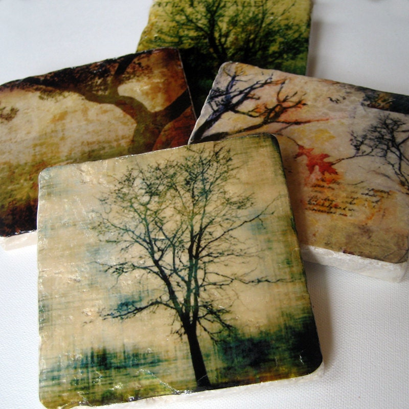 Stone Coasters - Rooted in Time set of 4