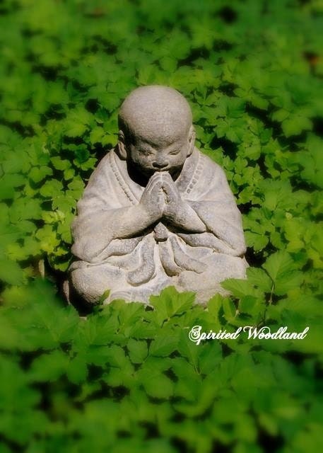 Buddha Meditation 8 X 10 Fine Art Photographic Print
