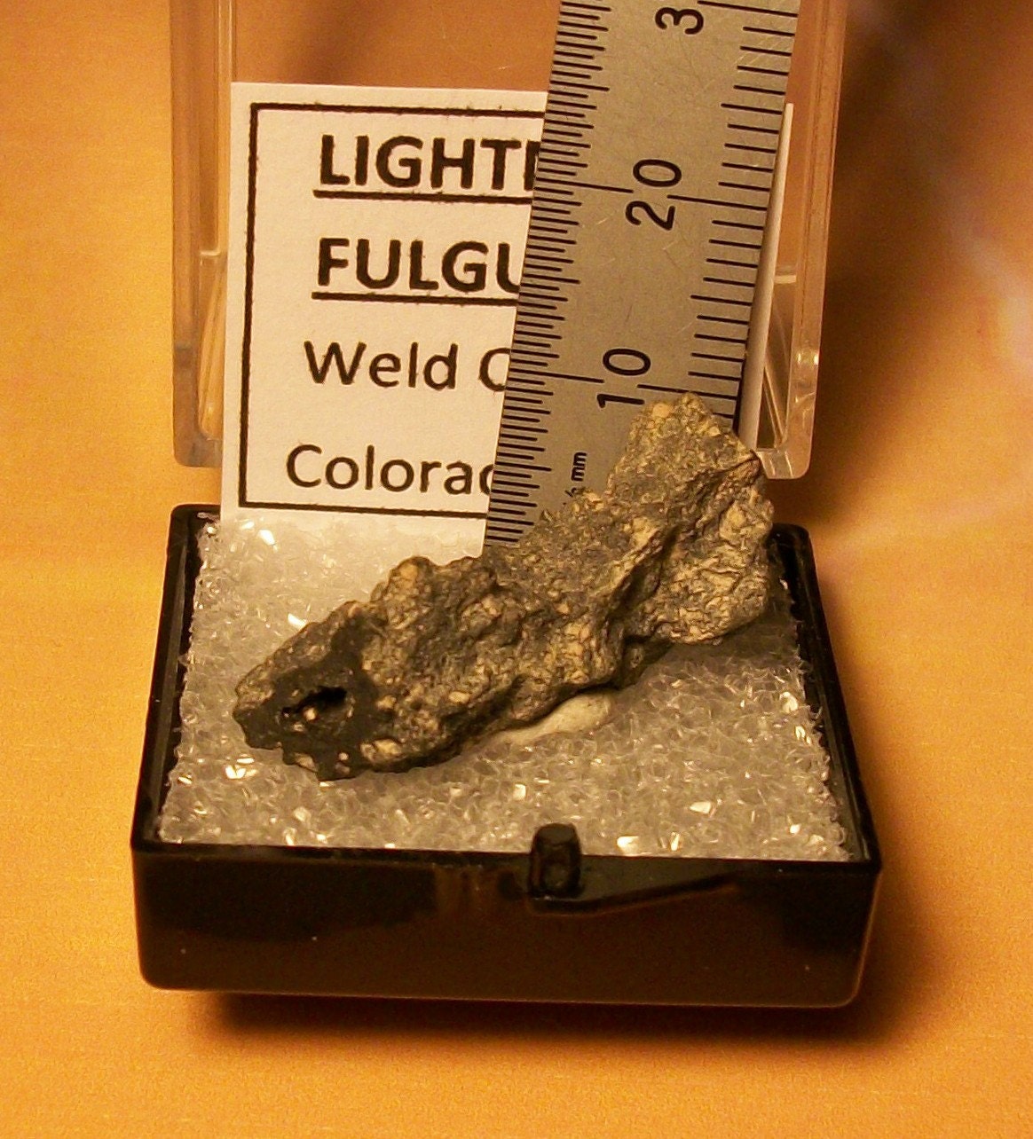 LAST-LOG-On-The-FIRE Natural Petrified Prehistoric Frozen Lightning Fulgurite Crystal With Blow Hole In Perky Box From Colorado U.S.A.