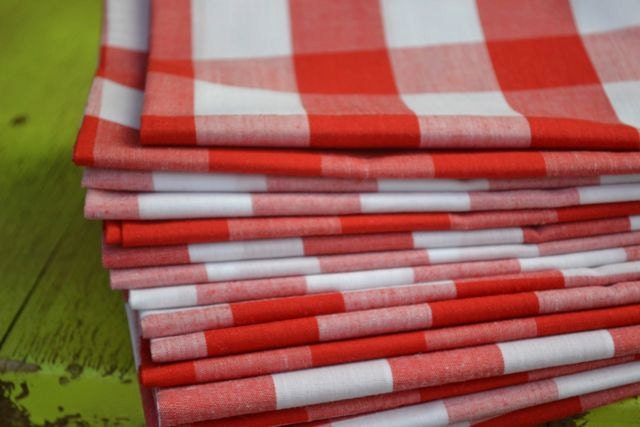 Red and White Gingham Check Eco Friendly Cloth Napkins, Set of 6-18 inch by Dot and Army