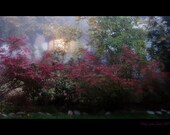 Autumn Art Photography, Fall