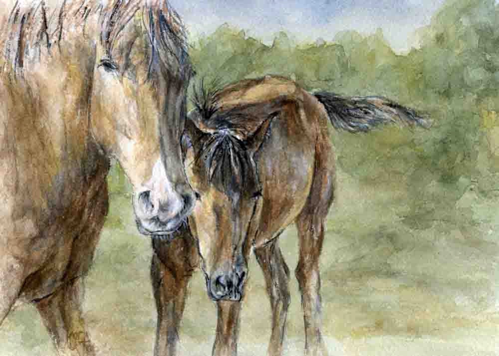Mustang Quarterhorse hiding her baby - Peek-a-boo - Print of my original watercolor painting