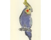 Bird art (5 prints)  - SALE SET 5 X  different drawings  - 4" X 6" prints