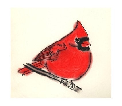 Bird Art print -  Little Cardinal - (4" X 6" print)