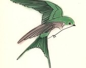 Bird art print Swallow Bird art print -  Jasper the Tree Swallow - 4 X 6