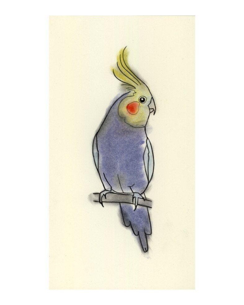 Bird art (5 prints) - SALE SET 5 X different drawings - 4" X 6" prints