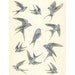 Bird art. The Blue Bird of Happiness - 8.3" X 11.8"
