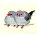 Blue Bird art - Two Friends  6" X 4" bird print of watercolor painting