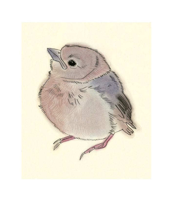 Baby Bird Drawing