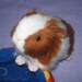Little Guinea Pig Plush - Red and White