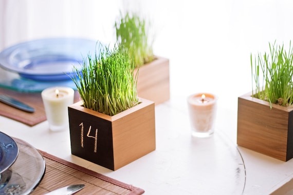 Wheat Grass Planter Table Number for Weddings and Events in Clear Recycled Cedar