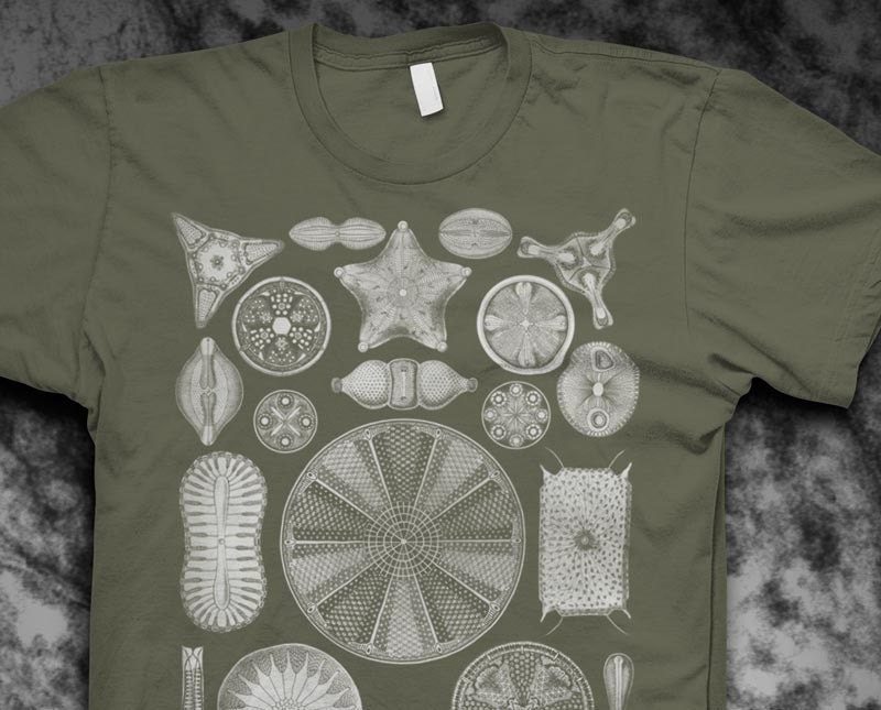Diatoms Ernst Haeckel Mens Tshirt