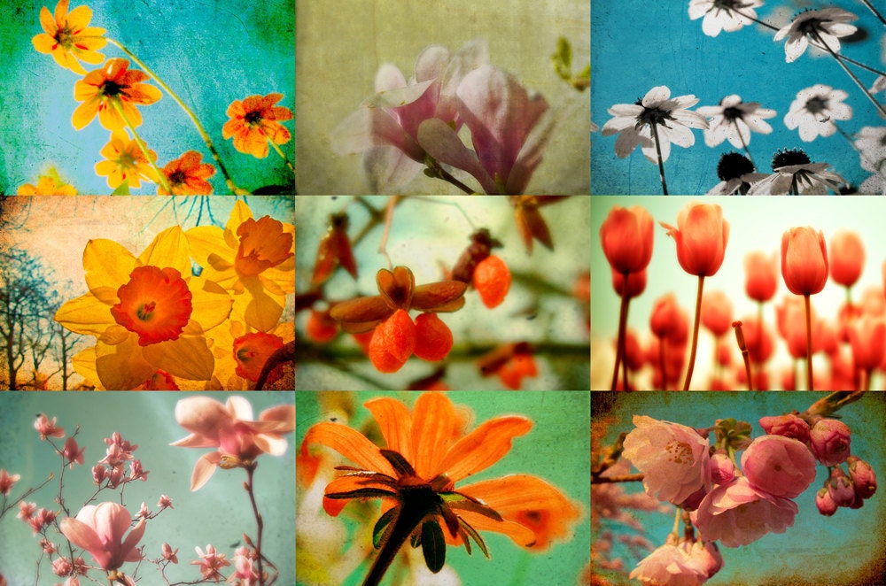 Floral prints flower photos nature images summer garden photos red tulip yellow daffodil pink magnolia Set of 9 5x7 prints