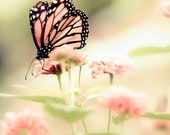 Butterfly photograph, fresh mint, Spring, pink, dusty rose, girl's room, fairytale, mint, pastel - Queen of Spring 8x8