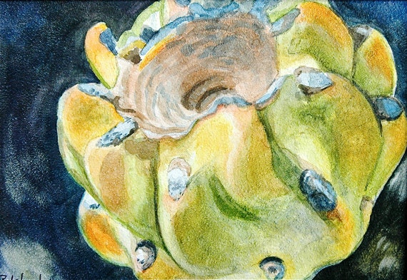 Cactus Fruit Southwest New Mexico ORIGINAL watercolor painting by Redstreake