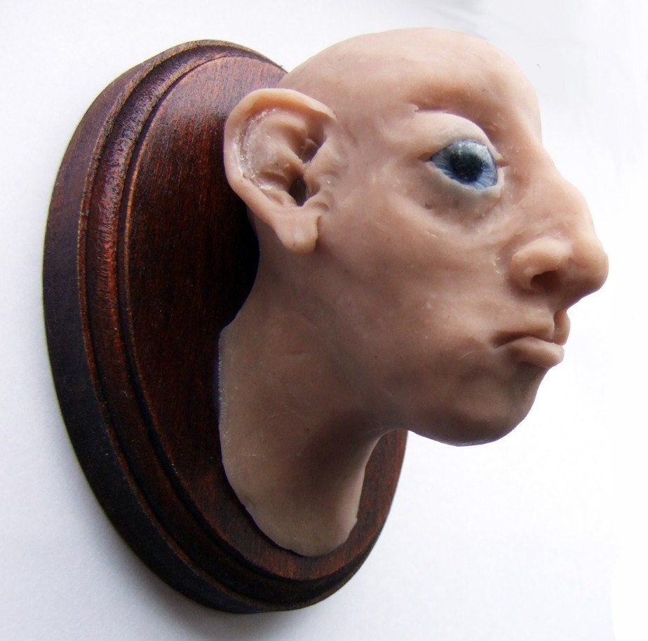 Leonard - shrunken mounted head