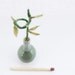 Miniature lucky bamboo stem