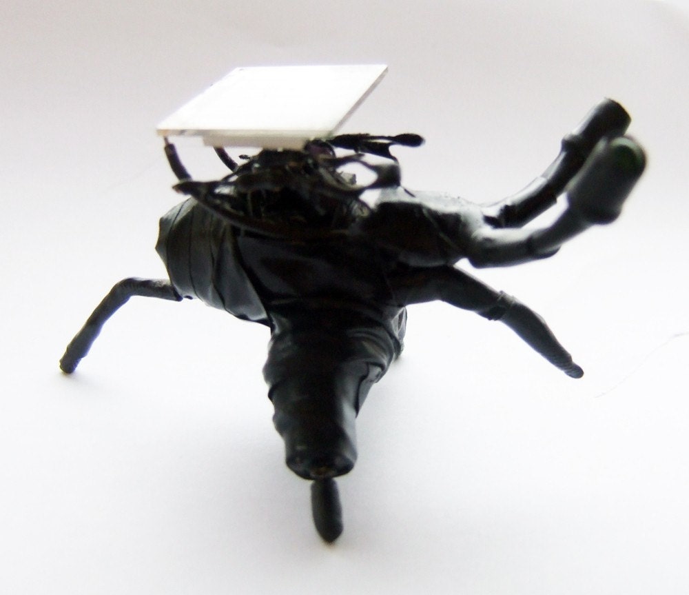 Nigel the solar powered goth bugbut