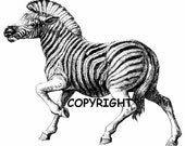 RUNNING ZEBRA BRAND NEW MOUNTED RUBBER STAMP