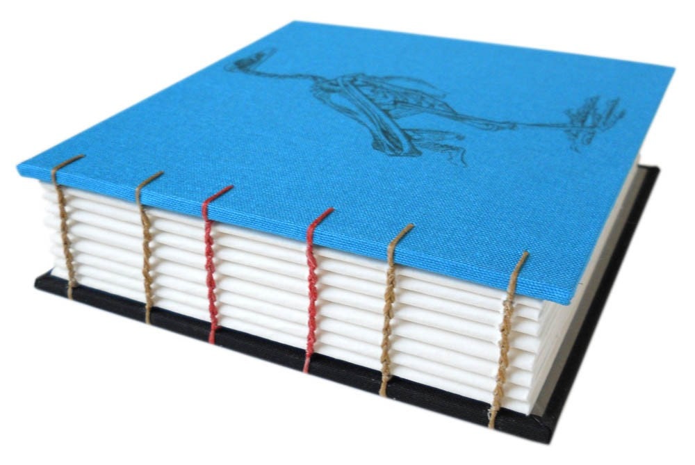 pigeon skeleton book