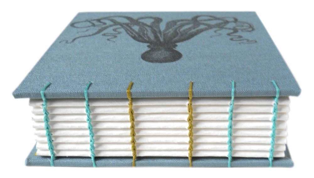 octopus book