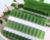 SALE Soap - Christmas Soap - Kisseltoe - Mistletoe Soap - Glycerin Soap - For the Holidays - Kiss under the Mistletoe - Natural Soap