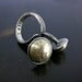Double Pod Ring sterling silver brass