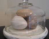 Shabby Chic Cloche