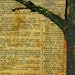 Tree Print Art Birds Words Dictionary 8X10 Spring Trends