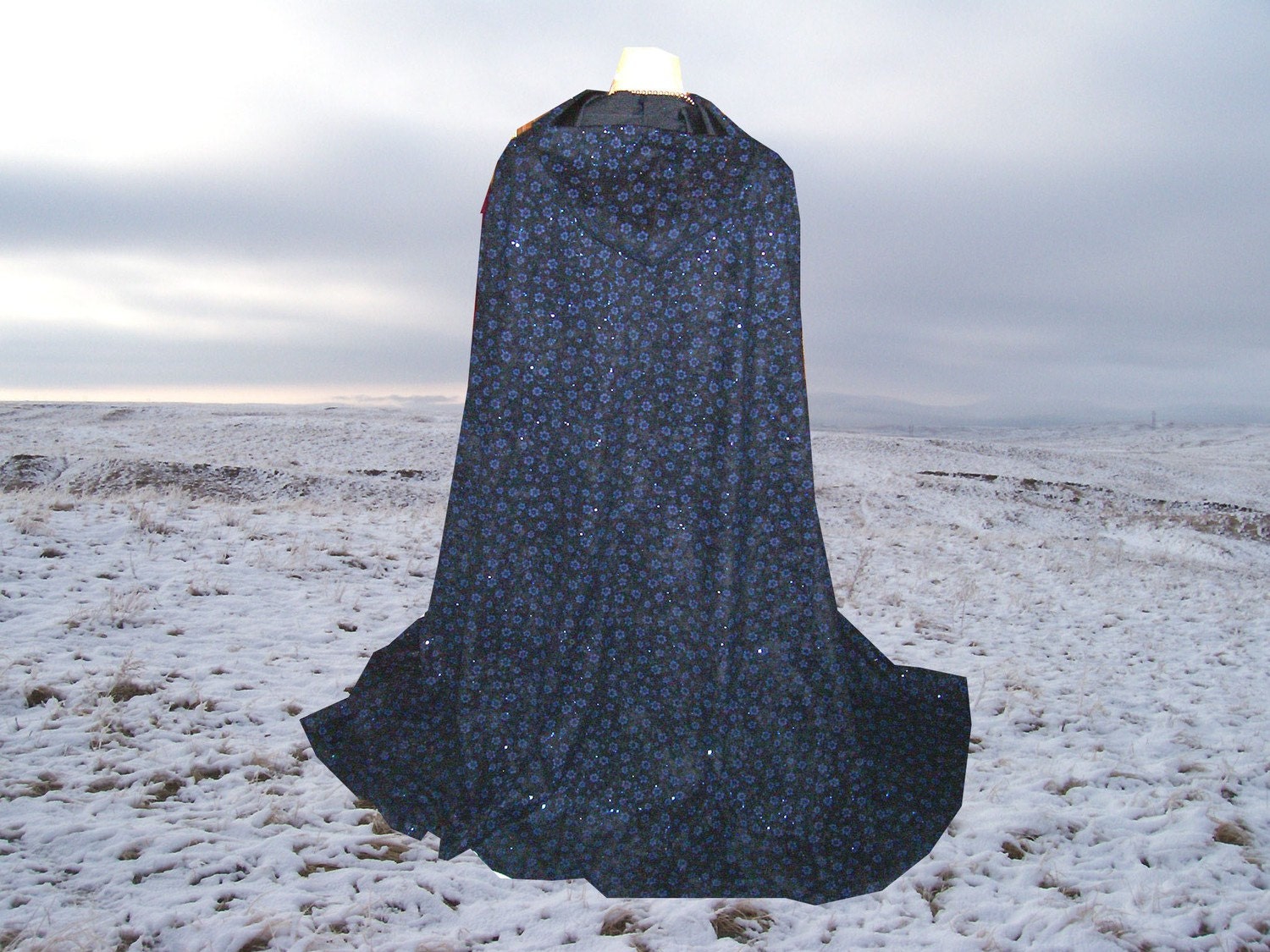 Cloak Hooded Cape Black Blue Glitter Flowers Renaissance Gothic Medieval Halloween Costume